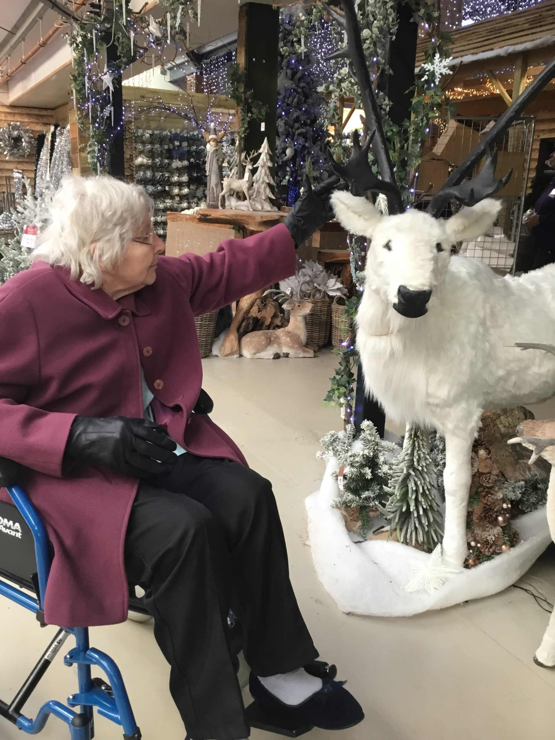 Fantastic Festive Shopping