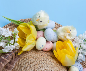 Easter here at Lavender Oaks