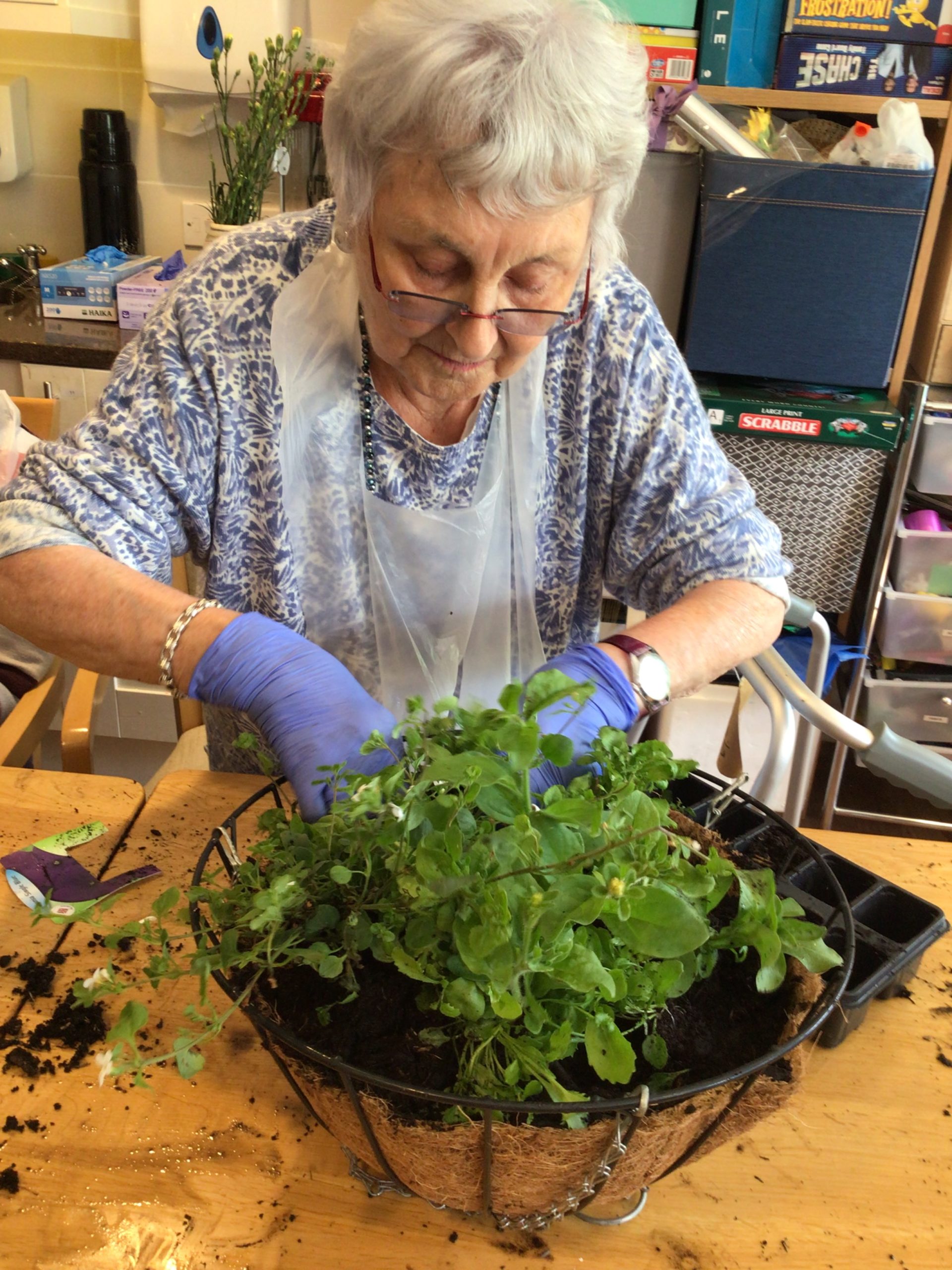 Porthaven Garden and Hospitality Challenge
